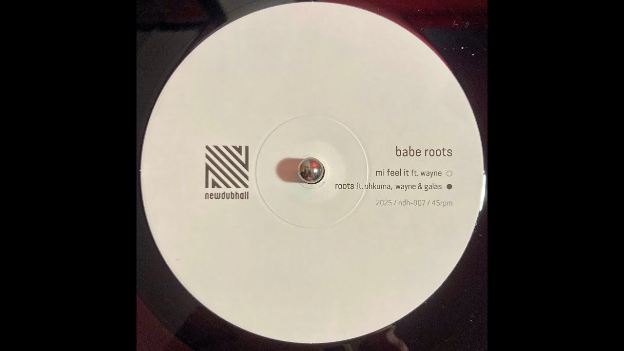 Babe Roots ft. Wayne - 