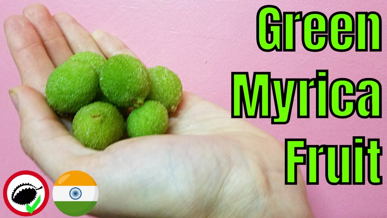 Green Myrica Fruit - Weird Fruit Explorer In INDIA - Ep.  312