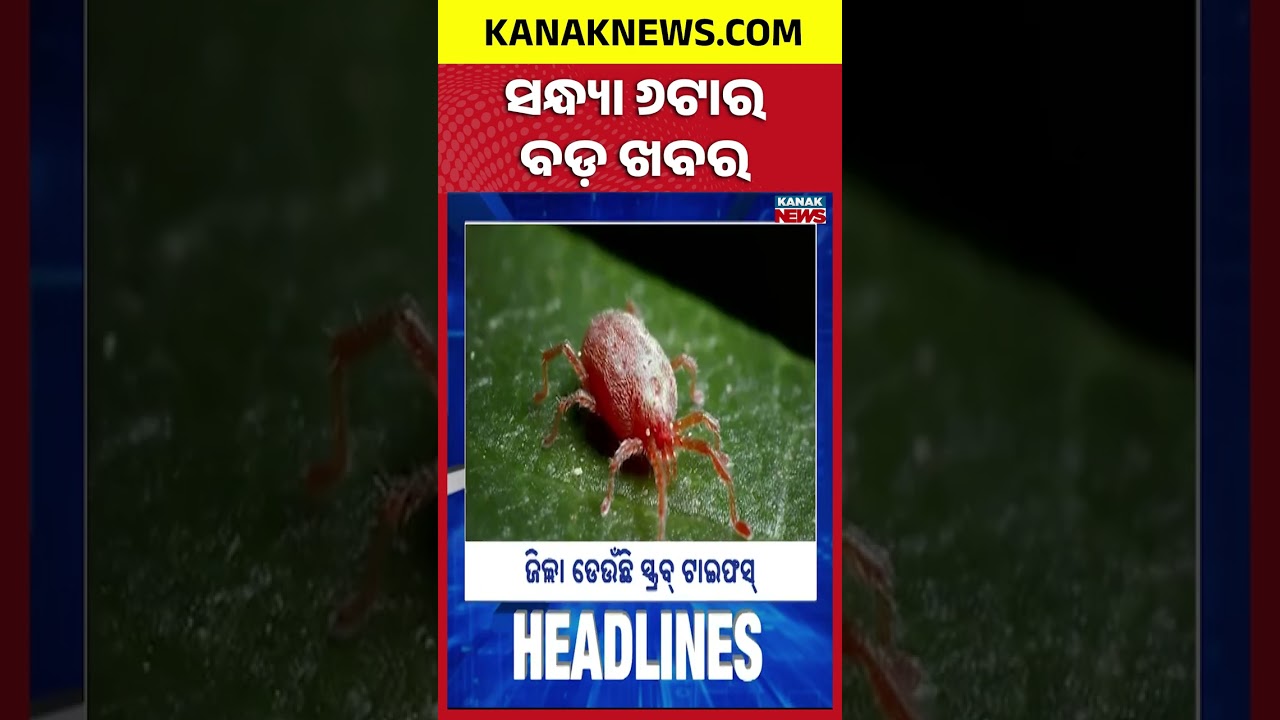 7PM Headlines | ସଂଧ୍ୟା ୭ଟାର ମୁଖ୍ୟ ଖବର | Top News Of The Hour | Odisha | KanakNews