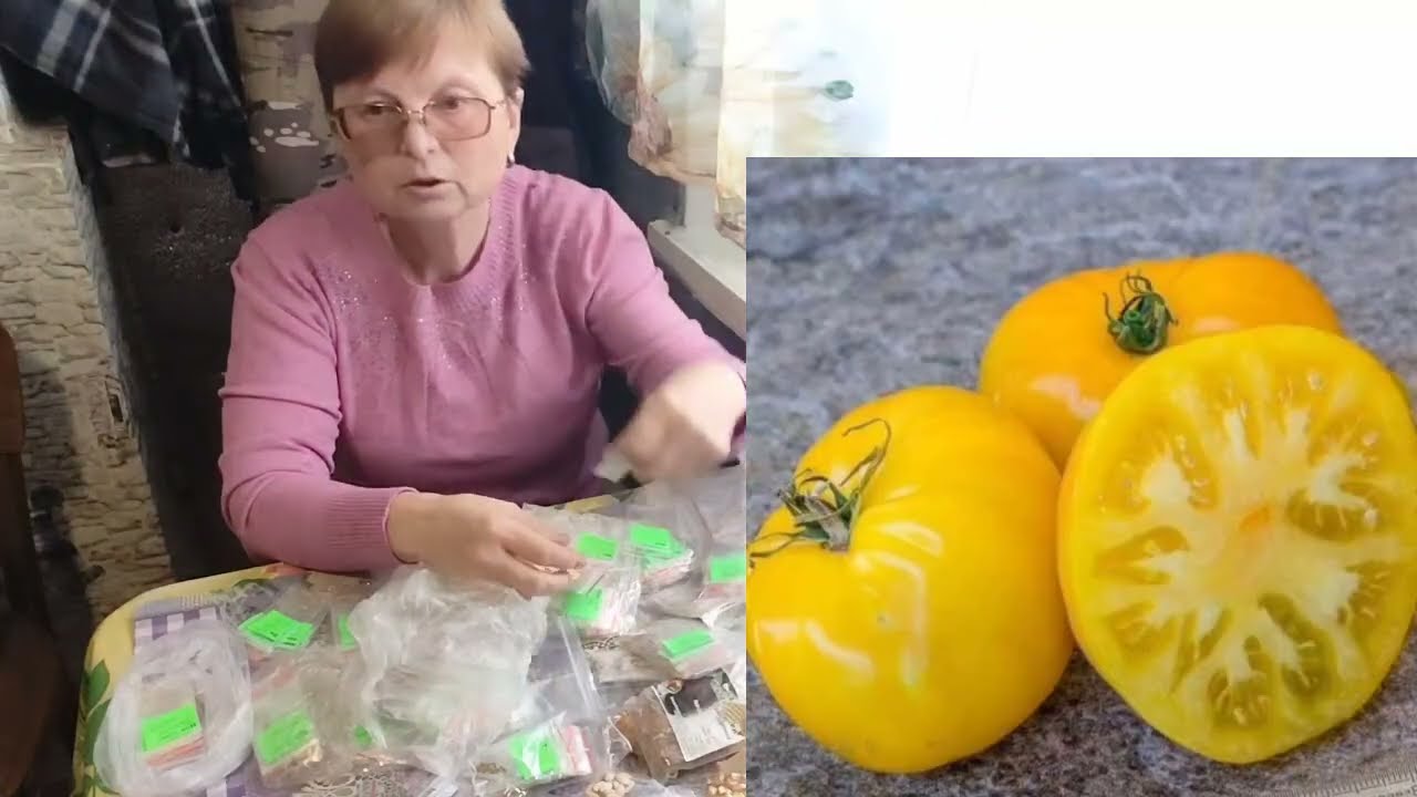 Перша частина каталога ! Продаж насіння овочів! 02.01.2026