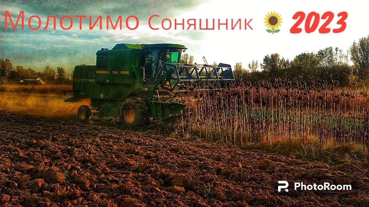 Молотимо Соняшник 2023 Комбайном John DEERE 1166