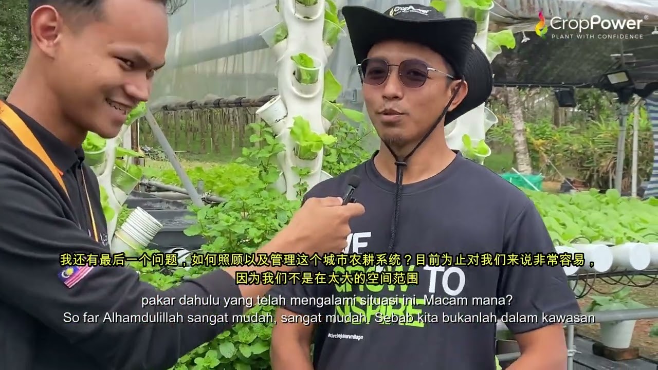 Kebun Bandar dalam tayar raih pulangan LUAR BIASA!