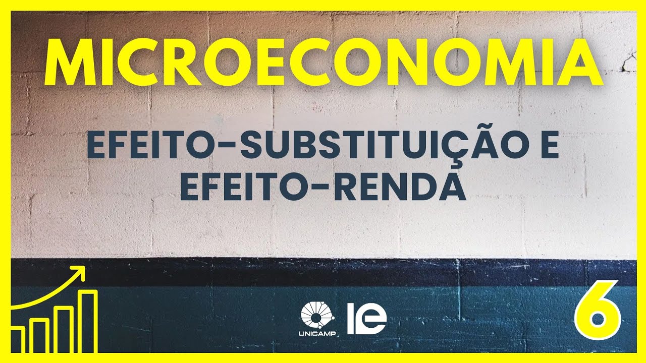 Microeconomia - Efeito-substituição e efeito-renda - Aula 6