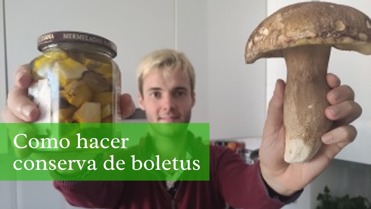 🍄 Como conservar Boletus - Increíble técnica