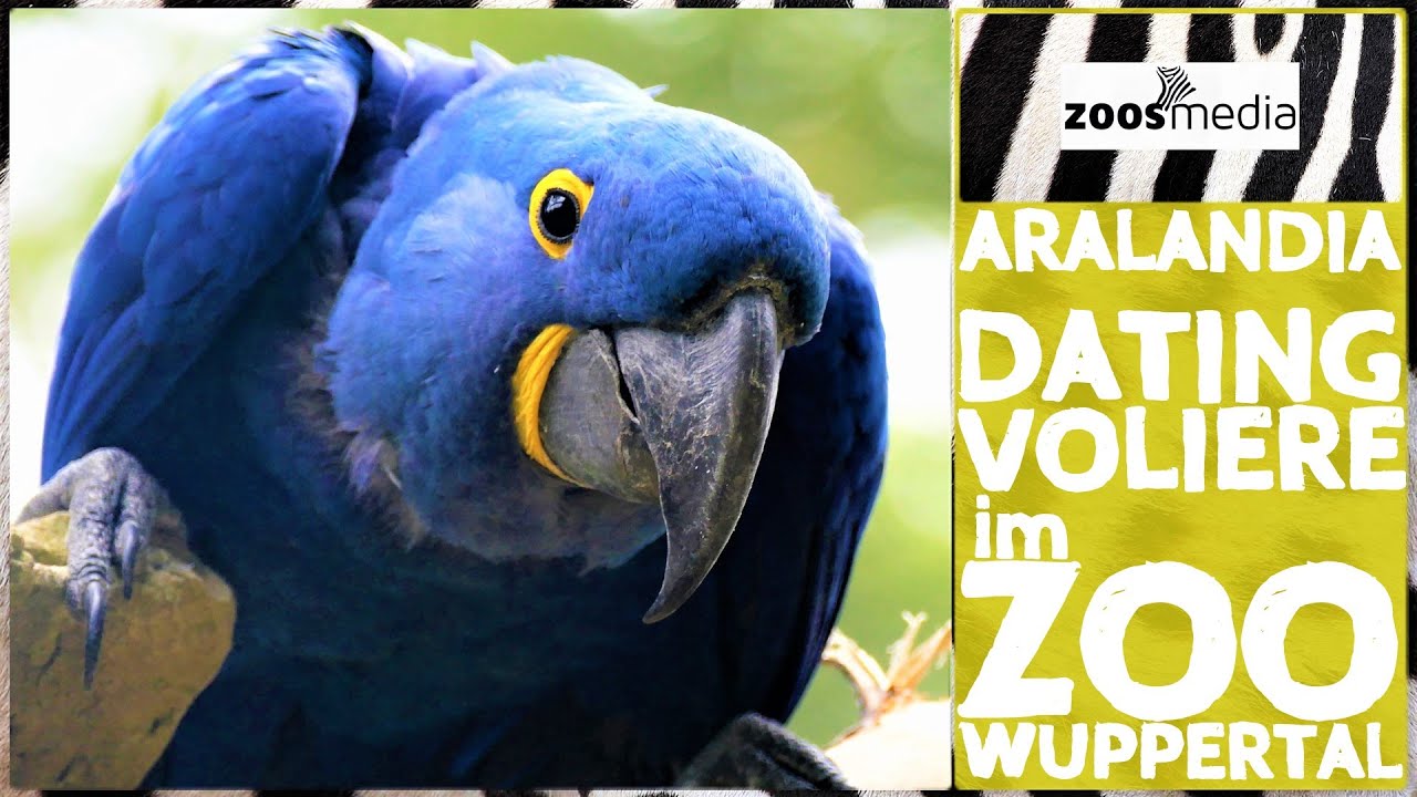 Zoo Wuppertal: ARALANDIA für Besucher geöffnet | zoos.media
