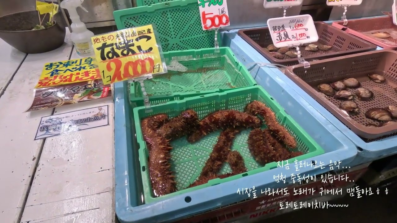 간사이여행기2