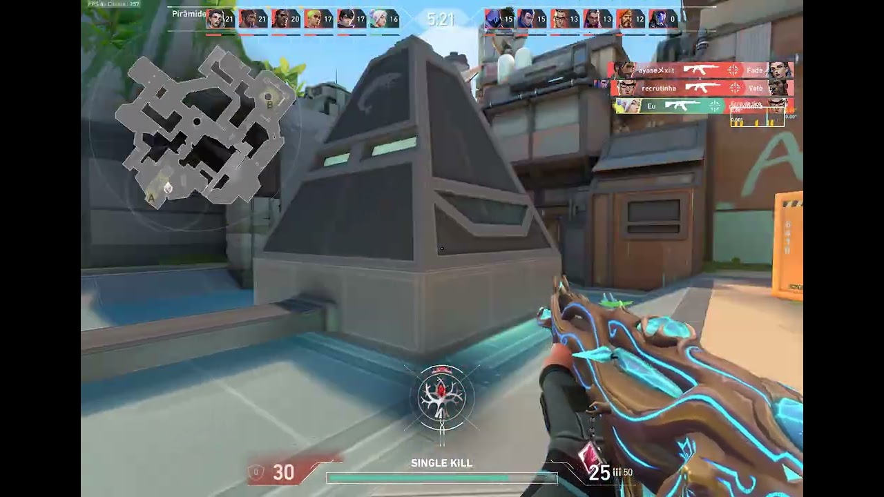 DM PALM 0.07