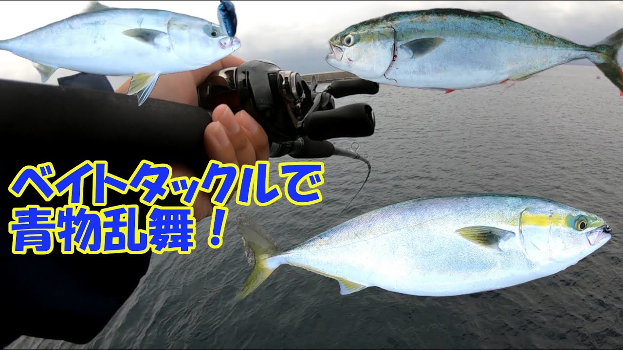 ベイトショアジギングの楽しさを教えてくれる素敵なロッド 【コルトスナイパーXRベイトモデル】