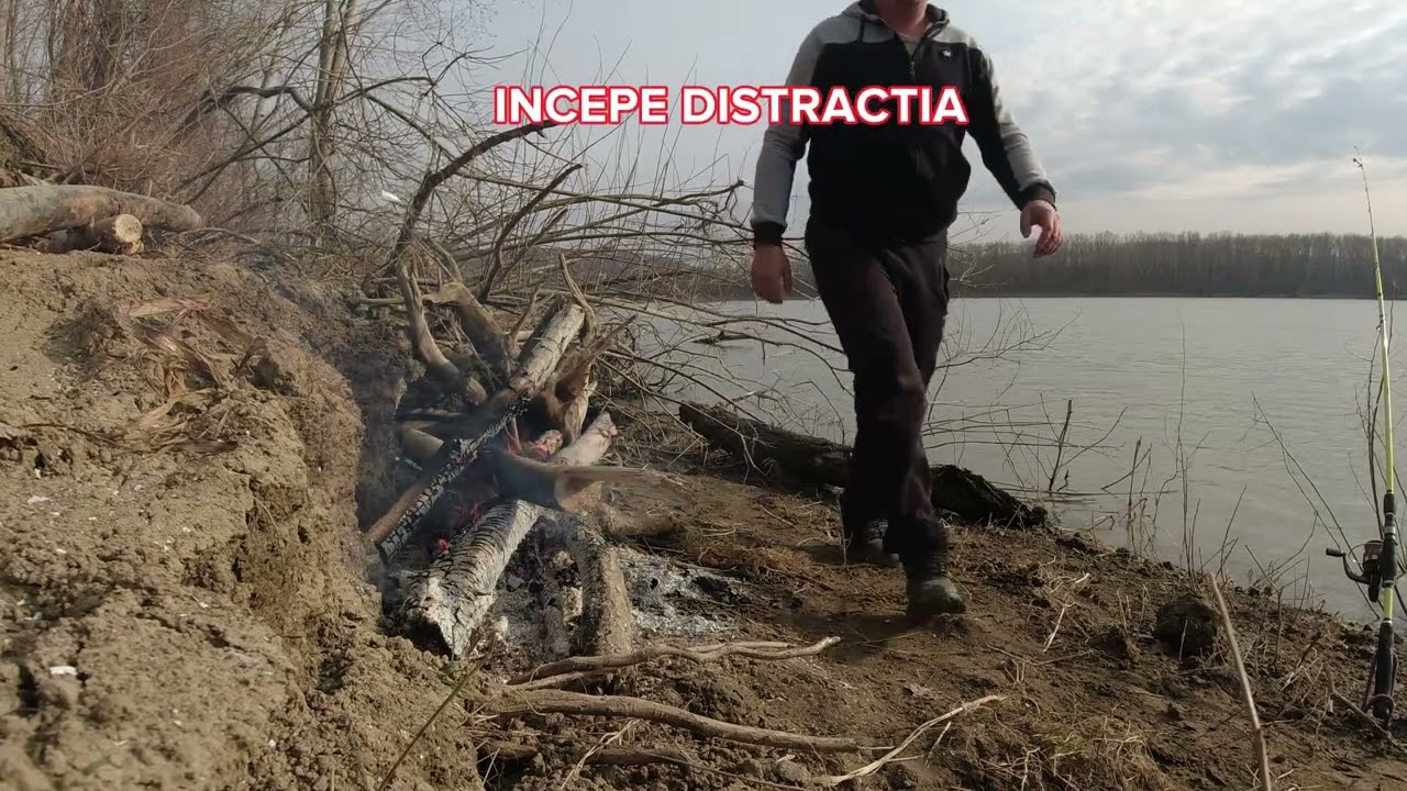 Pescuit pe Dunare la Salau - ACTIVITATE INTENSA PE SEARA !
