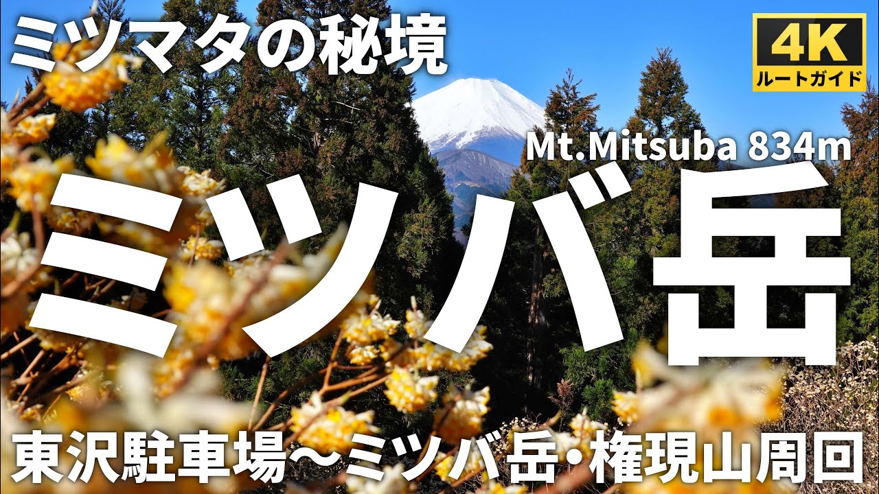 【徹底解説】ミツバ岳・権現山周回 ～ミツマタの稜線を巡る～ 【丹沢湖畔の無料駐車場からミツバ岳(大出山)と権現山を周回】Course Guide of Mt.Mitsubadake.