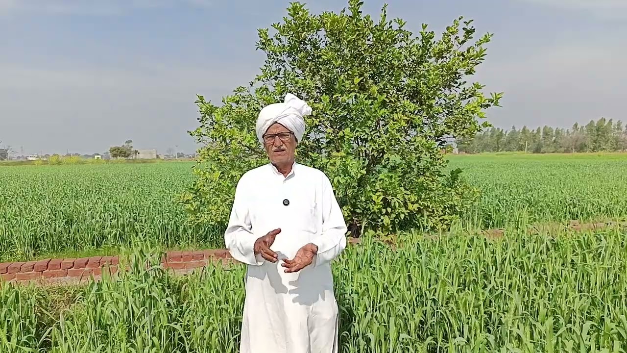 हम लाठी गोली सहन कर लेंगे लेकिन बेटियों की इज्जत और आँसुओं पर बात आने पर तख्त ताज बदल देते हैं 