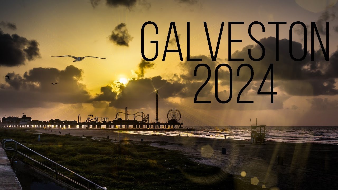 Galveston 2024 SHARKS/SNAPPER/GROUPER/JC