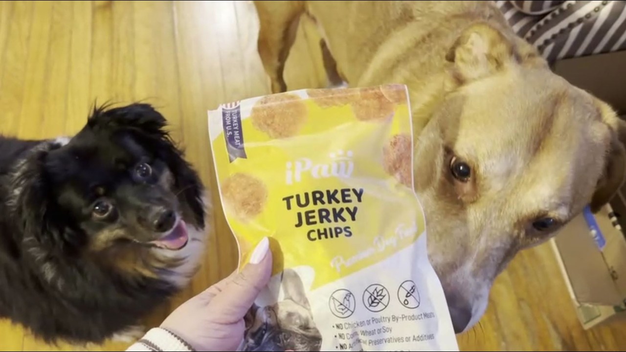 iPaw Turkey Chips Dog Treats for Puppy Training Review