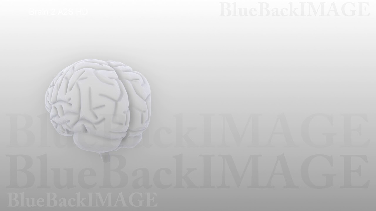 Brain anatomy human body idea mind concept mental Brain 2 A2S HD