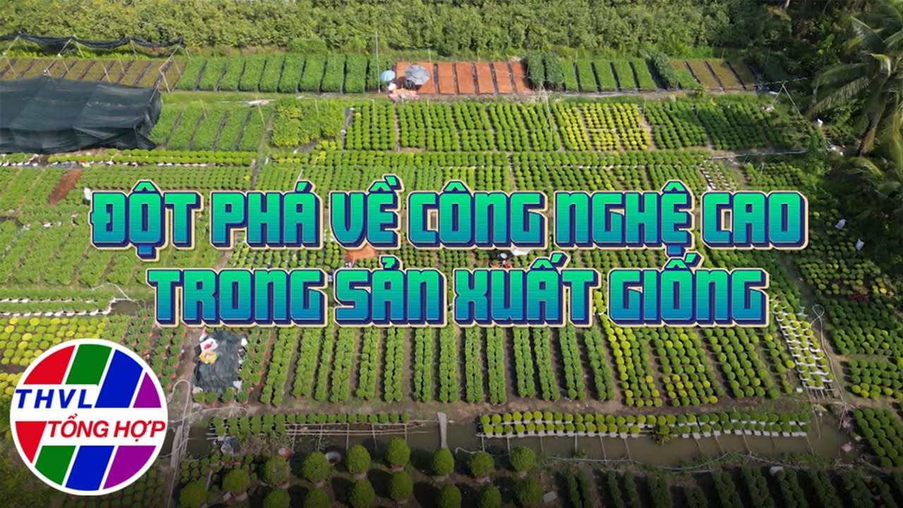 Nông nghiệp bền vững: Đột phá về công nghệ cao trong sản xuất giống