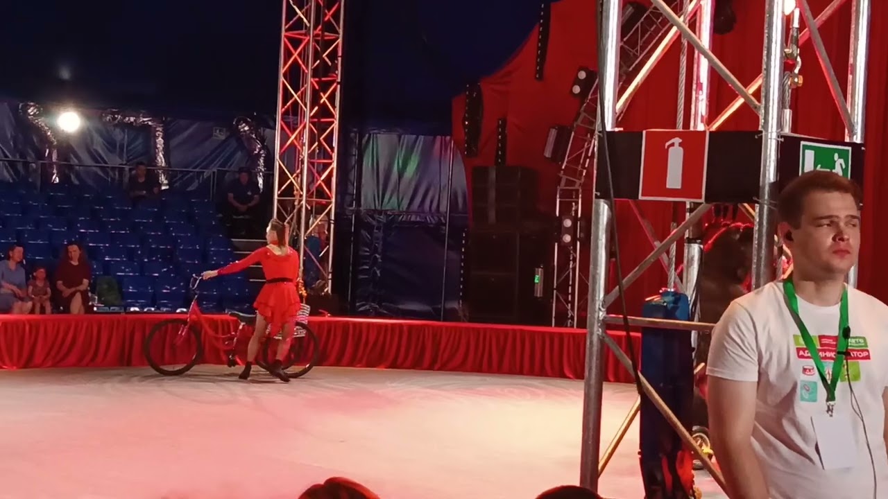 Цирк в Измайловском парке. Медведь