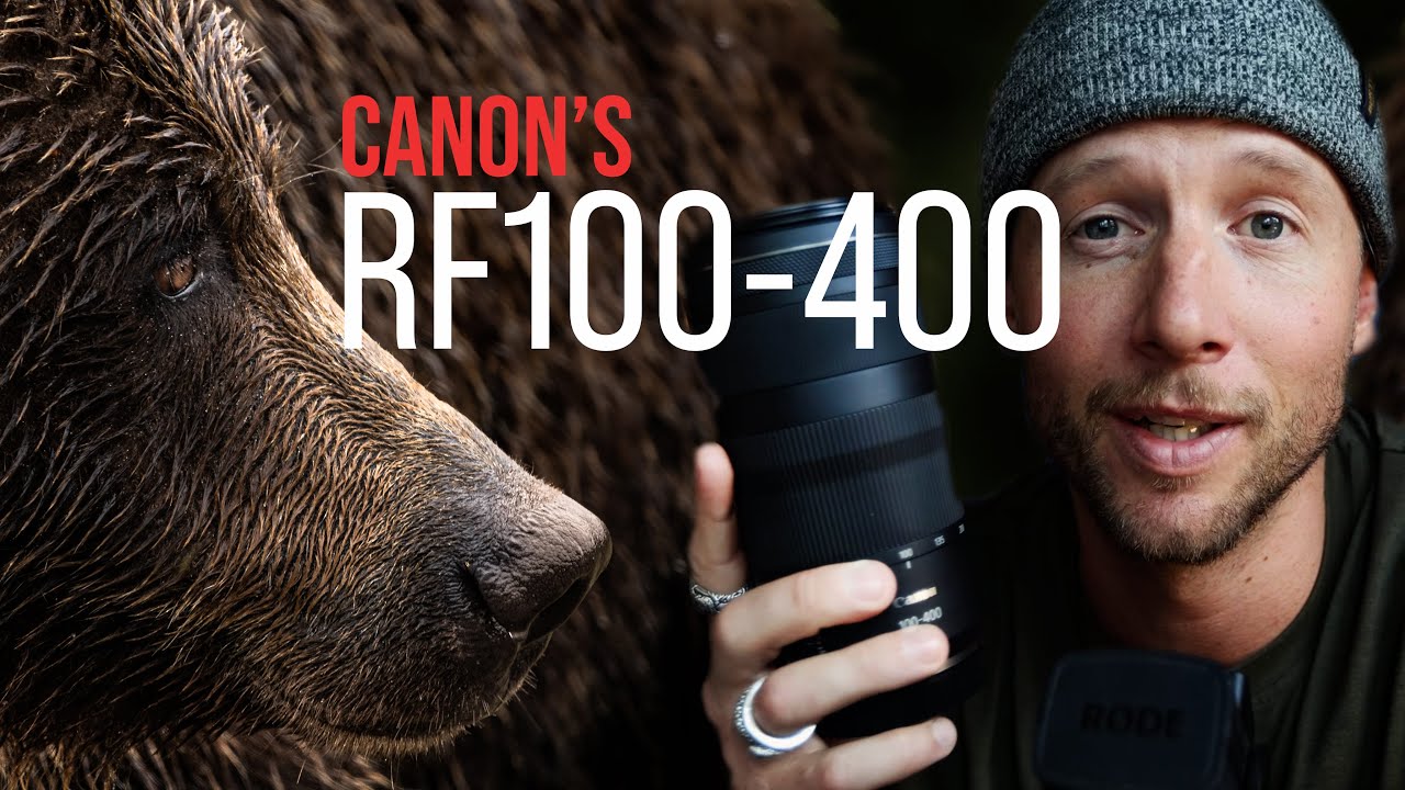 Canon RF100-400mm Lens Review - The Best Lens For The Money!