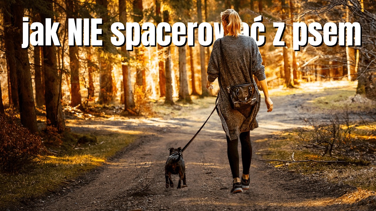 Jak NIE spacerować z psem
