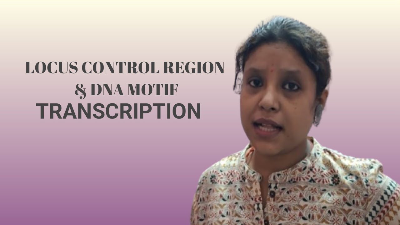 LOCUS CONTROL REGION & DNA MOTIF//TRANSCRIPTION 