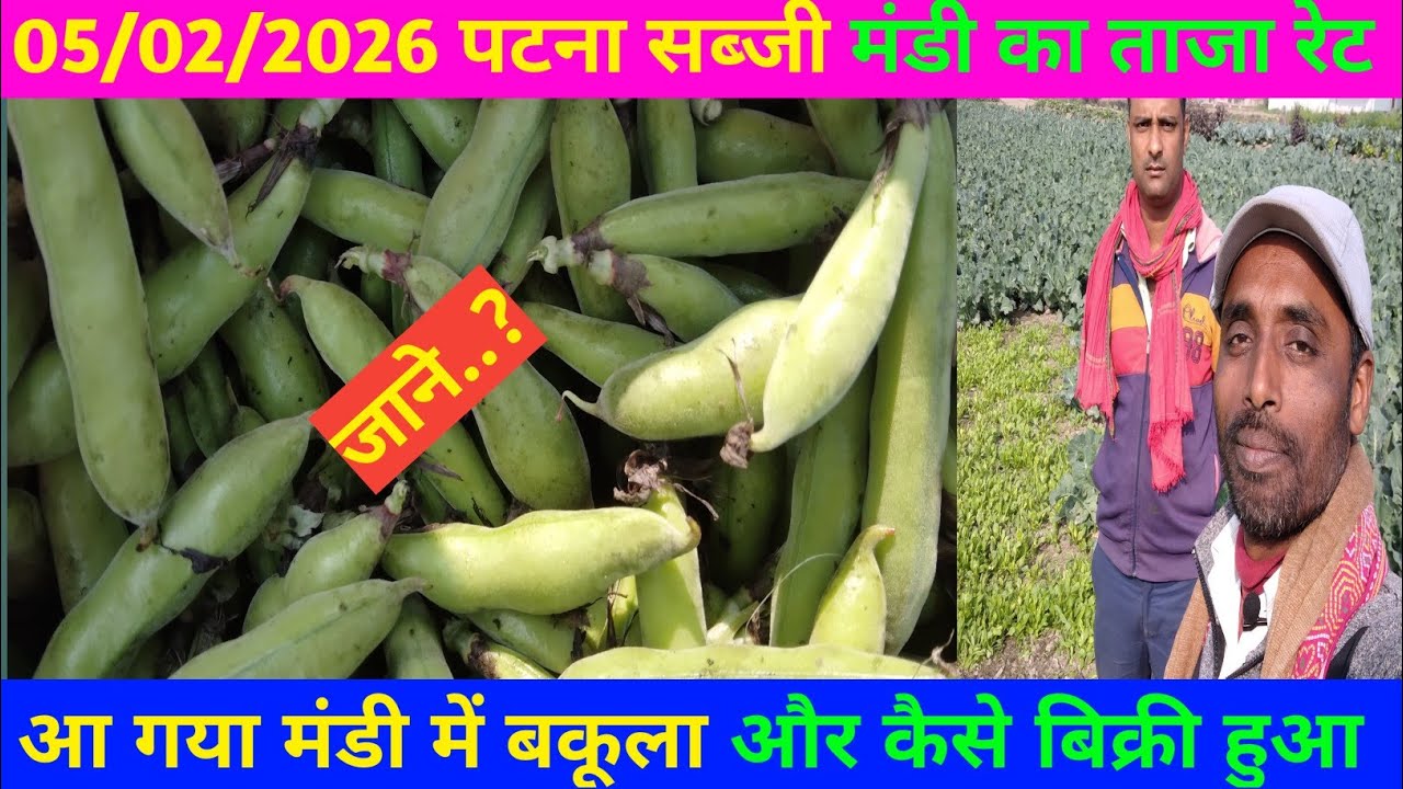 खुल गया पटना सब्जी मंडी में बकूला का भाव और कैसे बिक्री हुआ जाने | Bakola price | #vegetables 