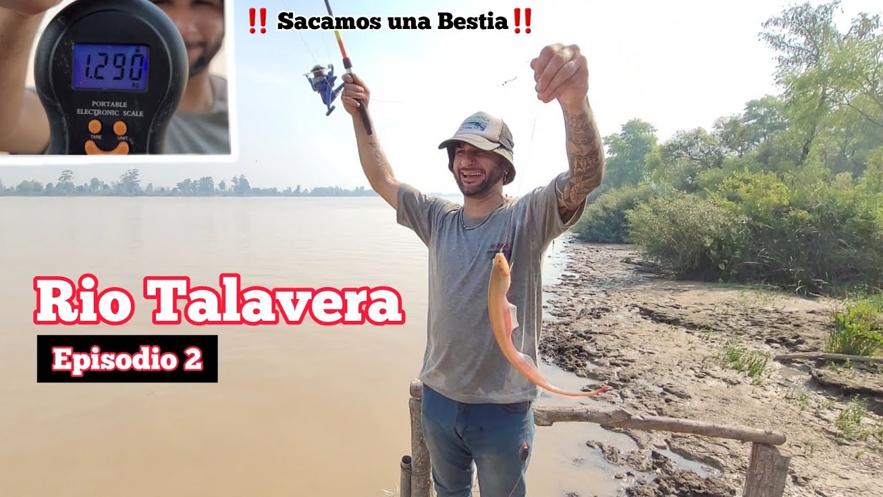 Acampamos en el monte, pesca en Rio talavera, Camping Evangélico, Bagres amarillos // MJ-PESCA epi 2