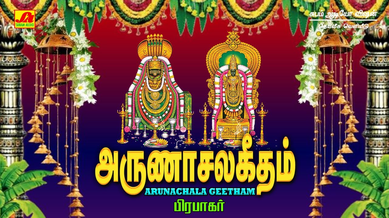 அனலாய் விளங்கும்மலை சிவன்பாடல்கள் | Subamaudiovision #pradhosamsivansong #sivanbakthisong #sivansong