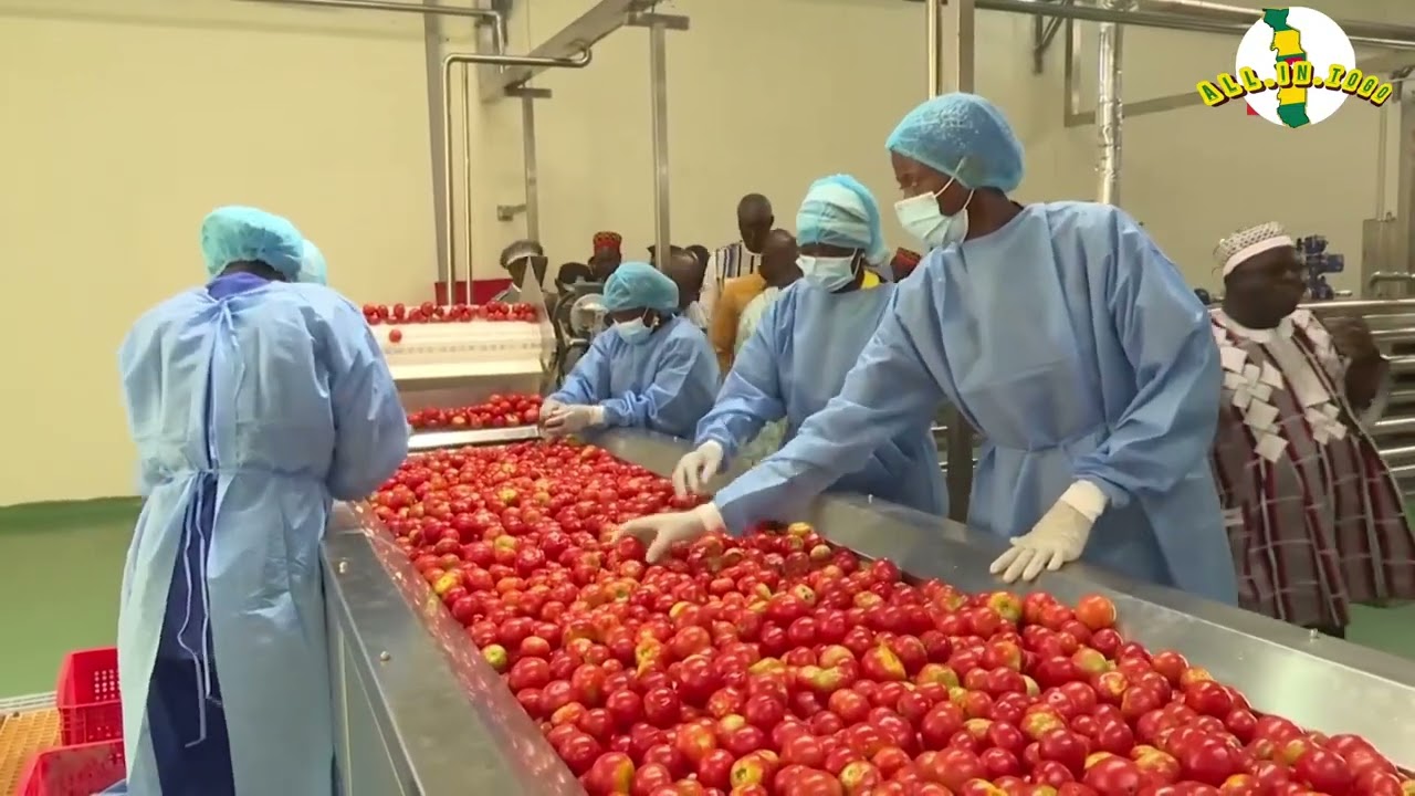 ET LE TOGO ? LE BURKINA FASO ACCÉLÈRE, DE LA PRODUCTION À LA TRANSFORMATION