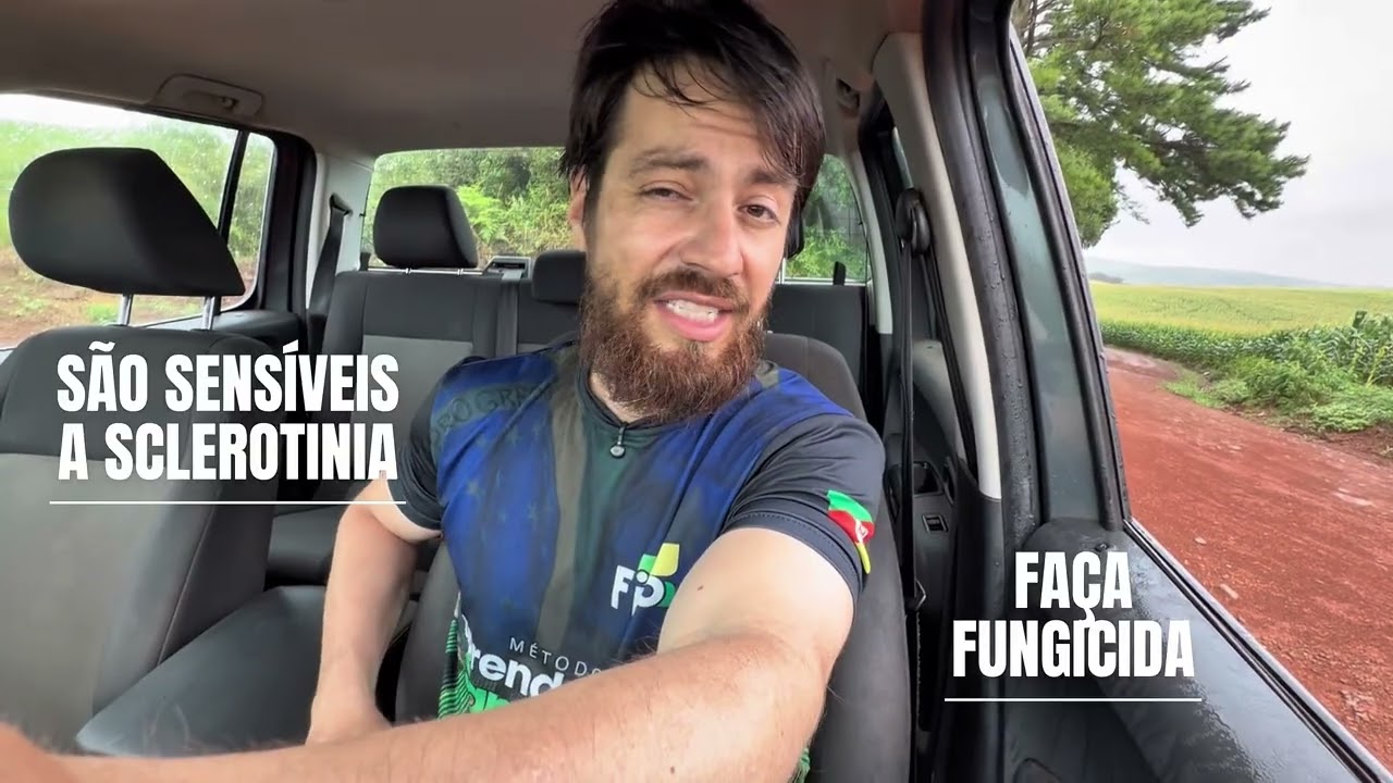 Manejo de fungicidas em soja