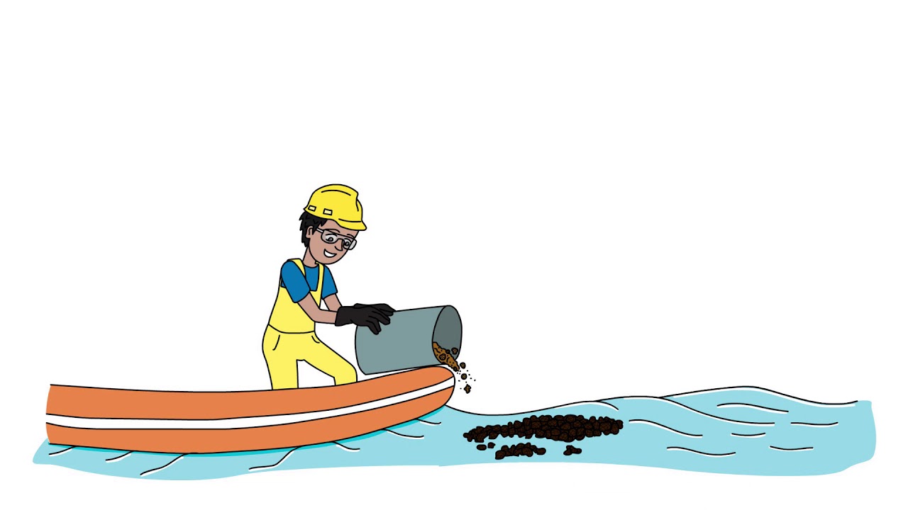 Laying Waste to Oil Spills