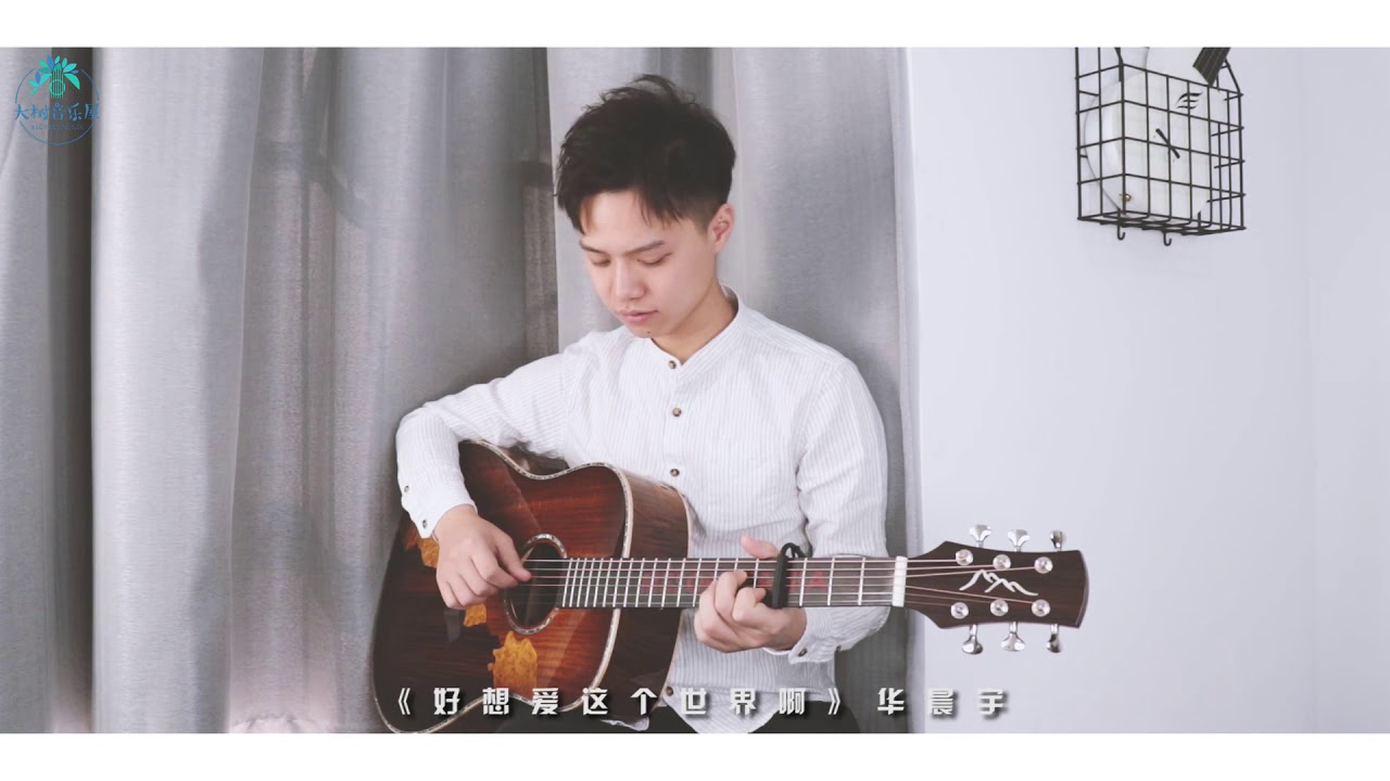 《好想爱这个世界啊》华晨宇-吉他弹唱翻唱-大树音乐屋-吉他谱