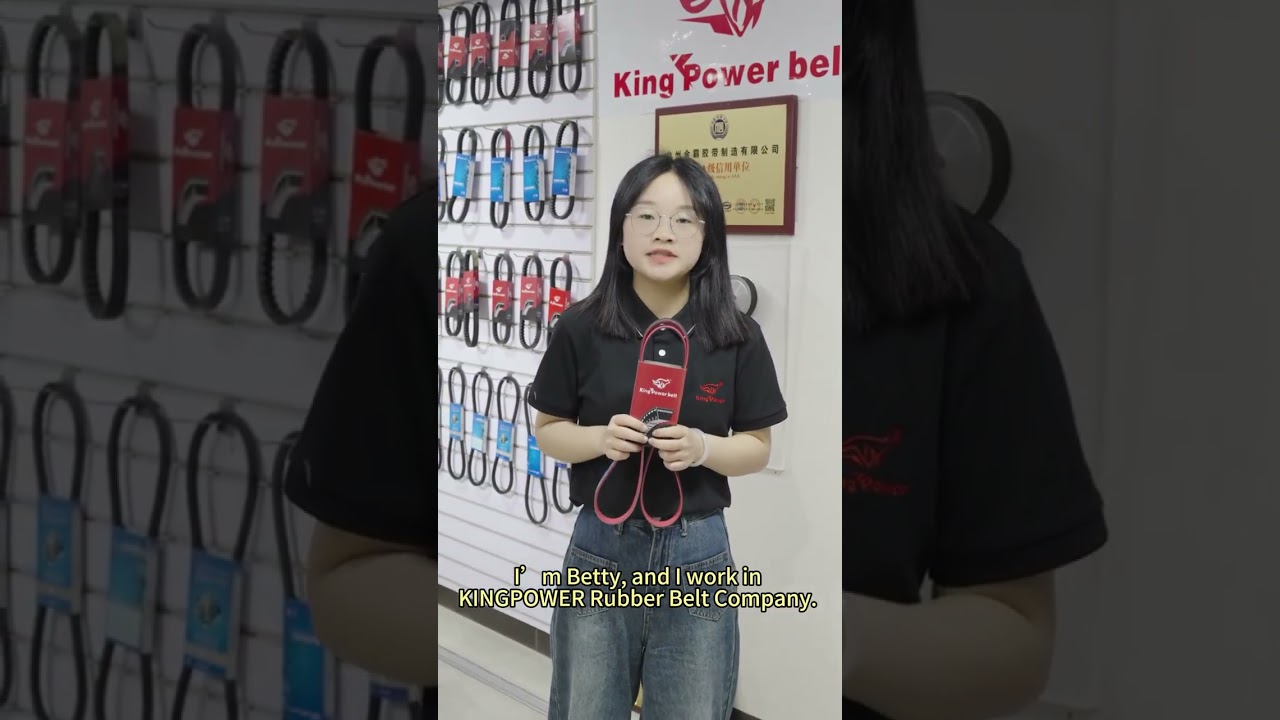 Professional Rubber Belt Manufacturer | Company Introduction
