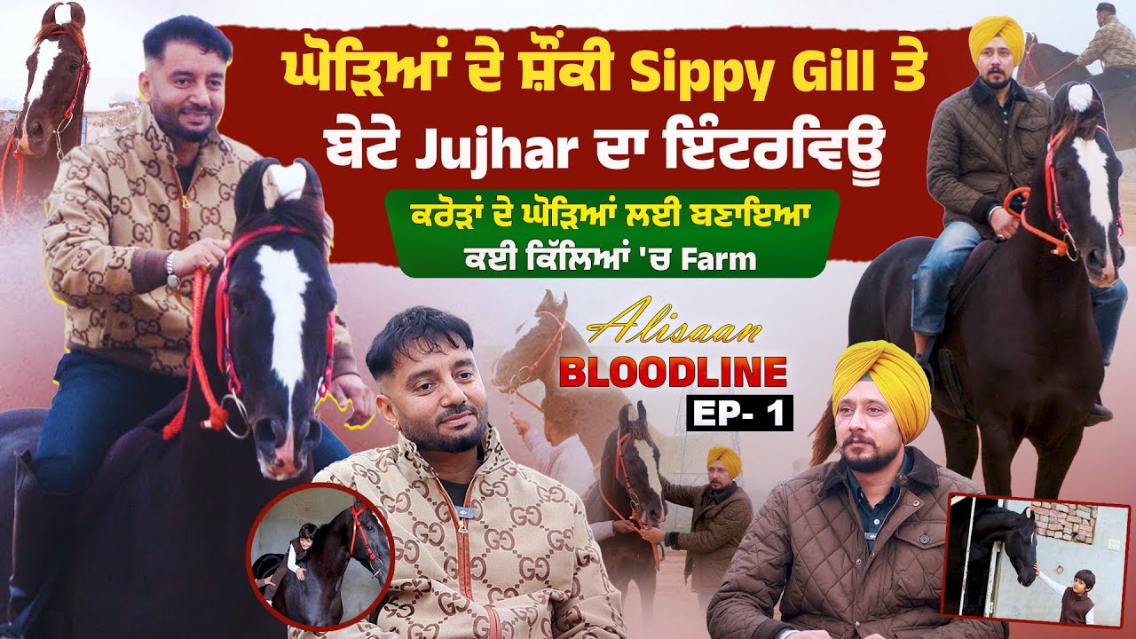 ਘੋੜਿਆਂ ਦੇ ਸ਼ੌਂਕੀ Sippy Gill ਤੇ ਬੇਟੇ Jujhar ਦਾ ਇੰਟਰਵਿਊ, ਕਰੋੜਾਂ ਦੇ ਘੋੜਿਆਂ ਲਈ ਬਣਾਇਆ ਕਈ ਕਿੱਲਿਆਂ 'ਚ Farm