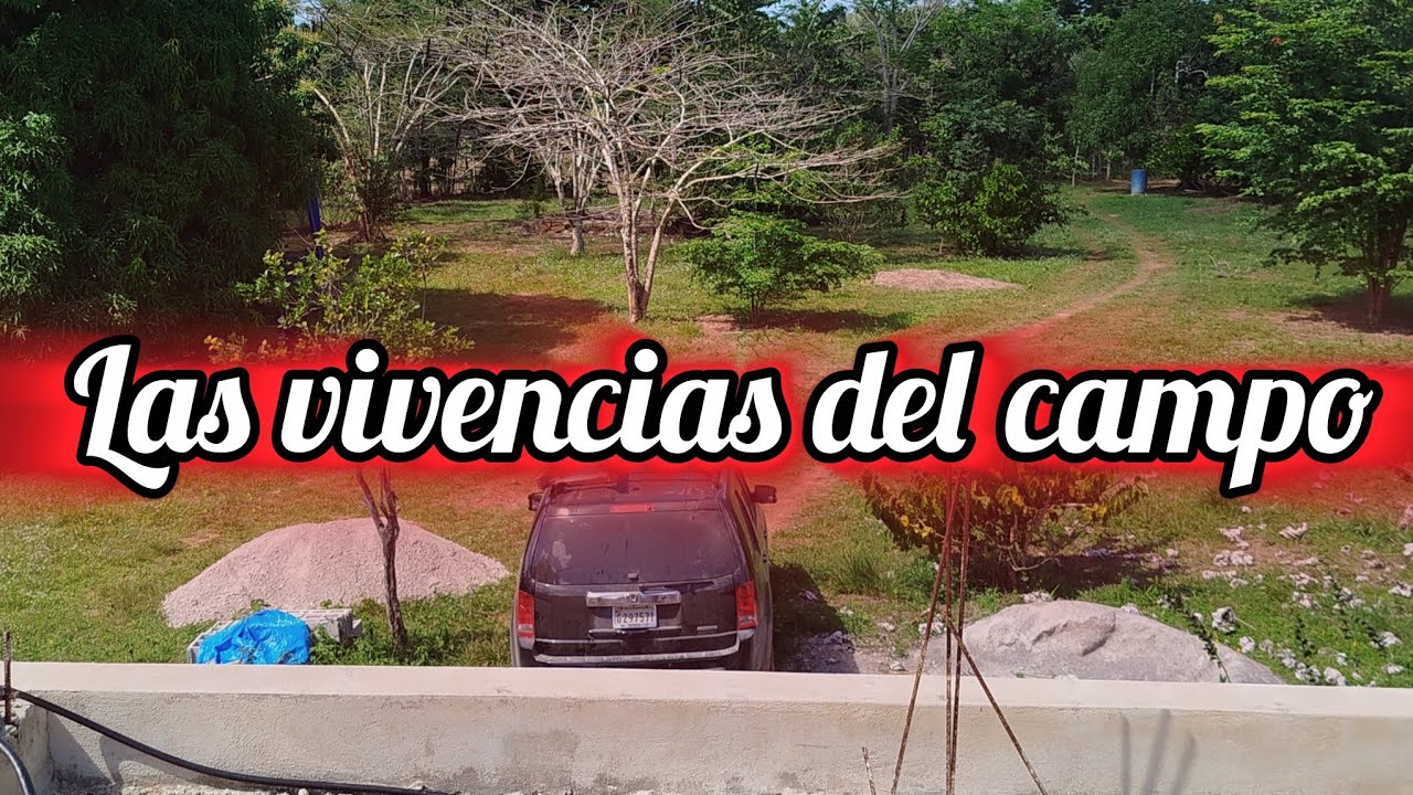 las vivencias del campo 🚜