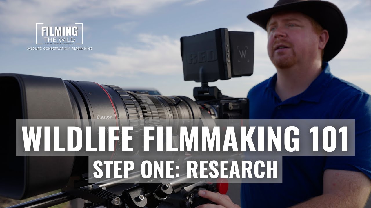 Wildlife Filmmaking 101: Step One - Research | Filming The Wild