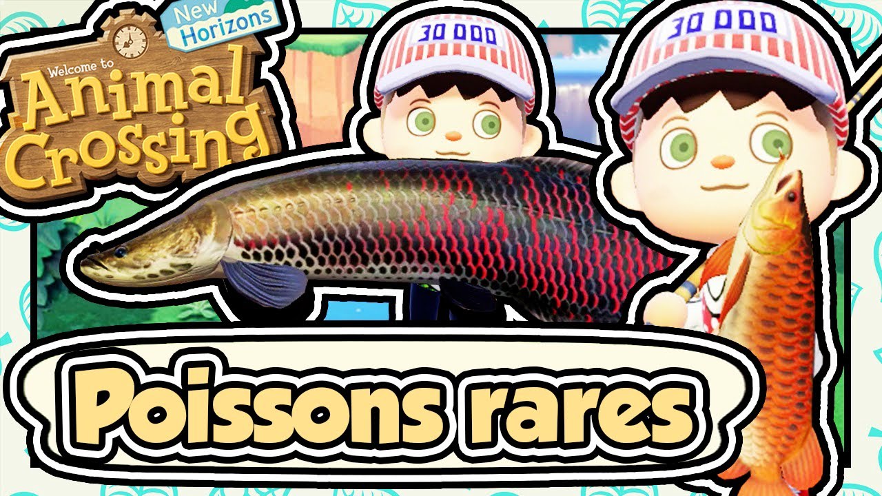 MISSION : POISSONS RARES (ARAPAÏMA, AROWANA, REQUINS) !!! 🎣🌟 - ANIMAL CROSSING NEW HORIZONS FR