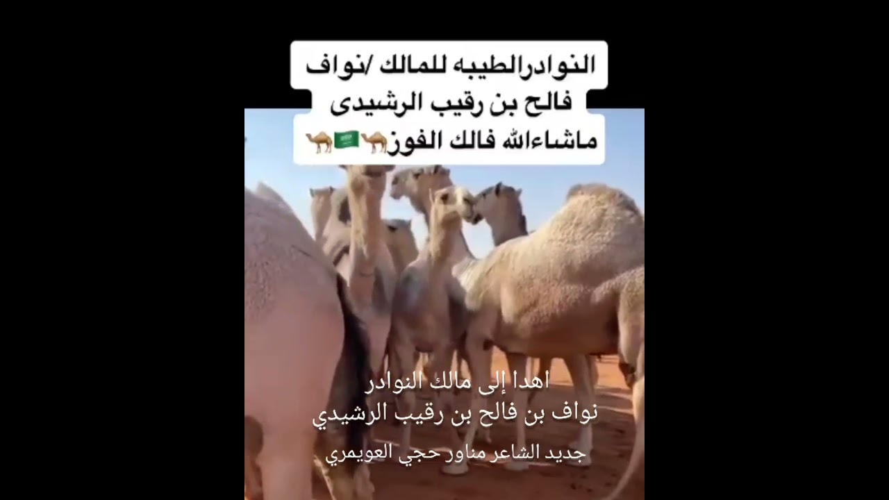 اهداء إلى مالك النوادر نواف بن فالح بن رقيب الرشيدي