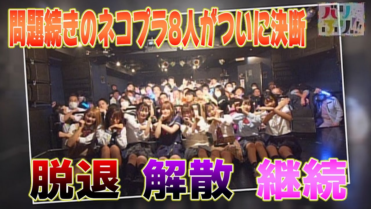 【ネコプラドキュメンタリー④】メンバーのルール違反が発覚したネコプラがグループとしてひとつの決断をする！
