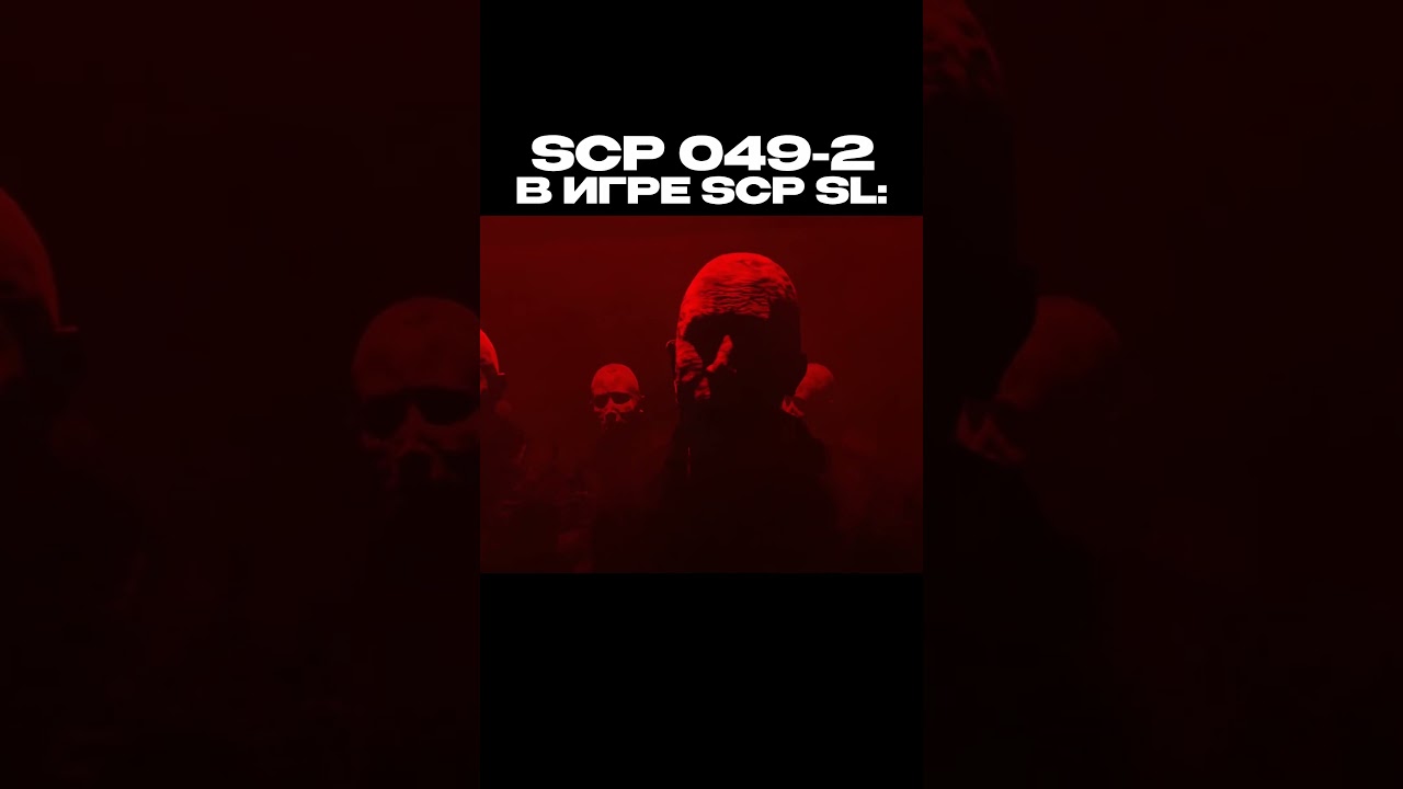scp sl be like #13