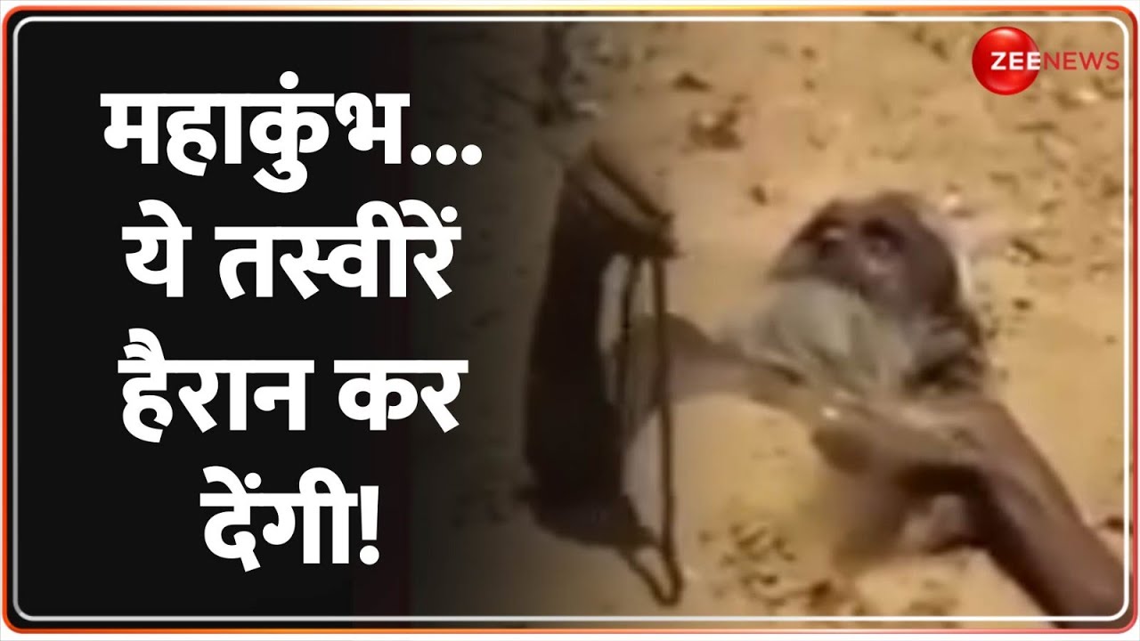 महाकुंभ...ये तस्वीरें हैरान कर देंगी! Mahakumbh 2025 Update | Saints | Latest | Saints | Horses