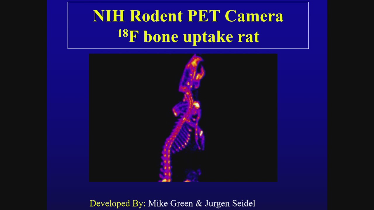 Use of Positron Emission Tomography (PET) in Pharmacokinetics with Dr. Robert Innis