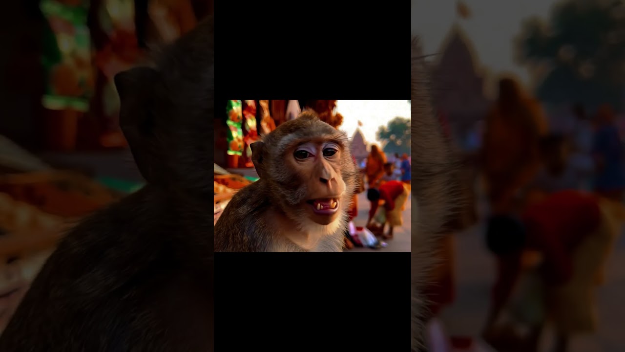 Wait&hellip; do monkeys drink chai too? 🤨☕  🐒⛰️ #MonkeyAdventures #shorts