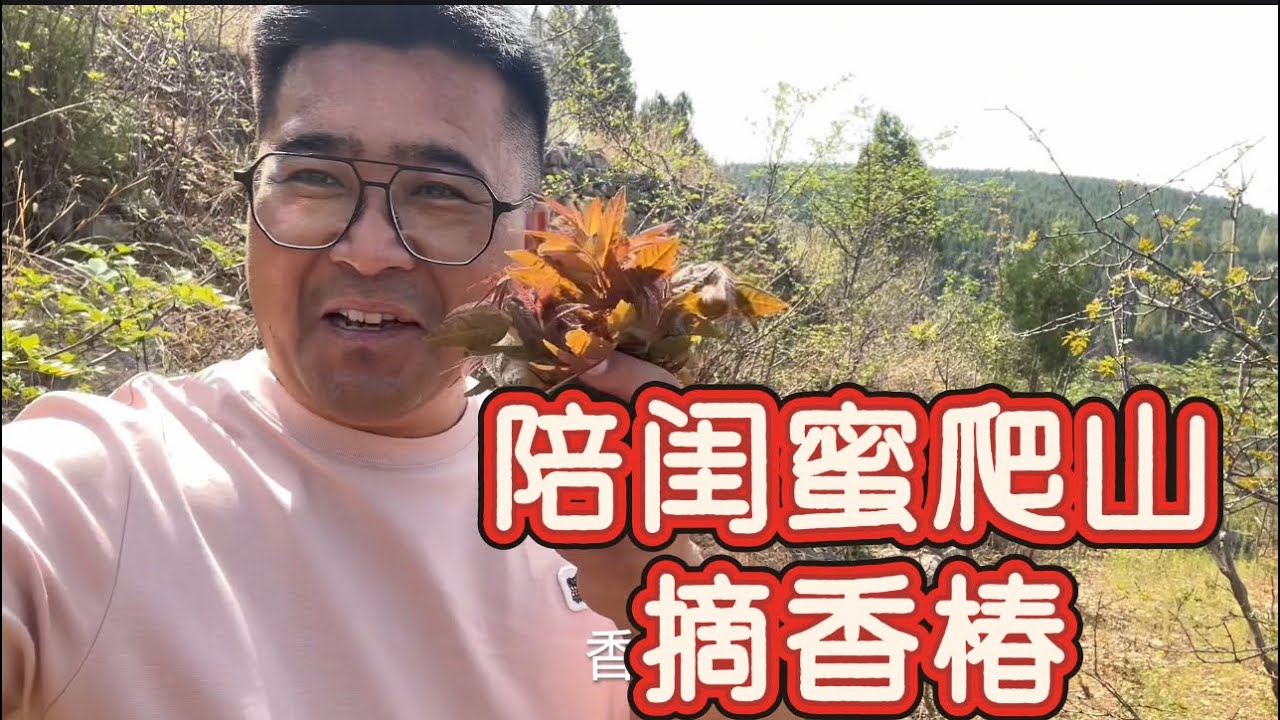 又到了采香椿的季节！来到闺蜜家里尽情采摘，收获满满