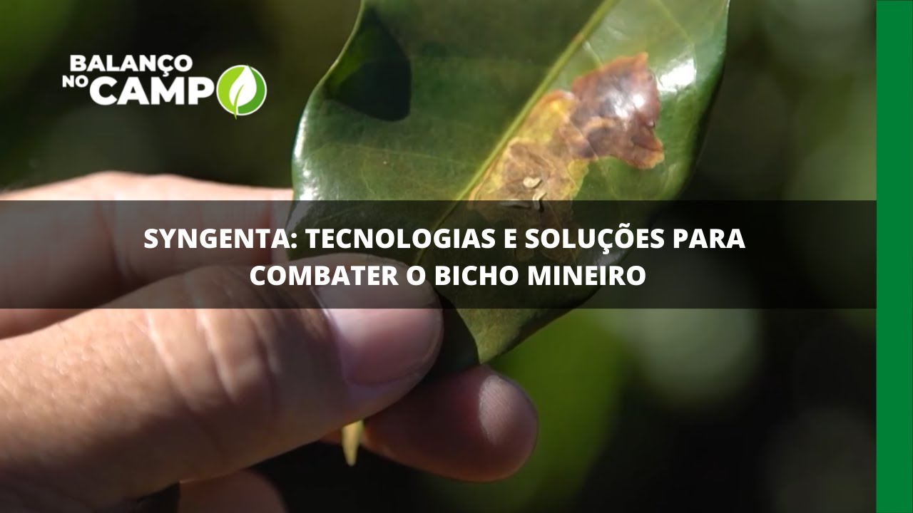 SYNGENTA: TECNOLOGIAS E SOLUÇÕES PARA COMBATER O BICHO MINEIRO