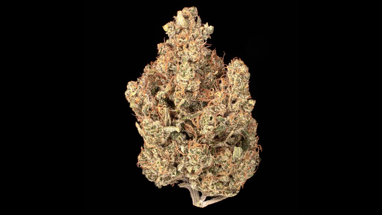 Queen Hemp Co. Flower Strains / Genetics- BaOx