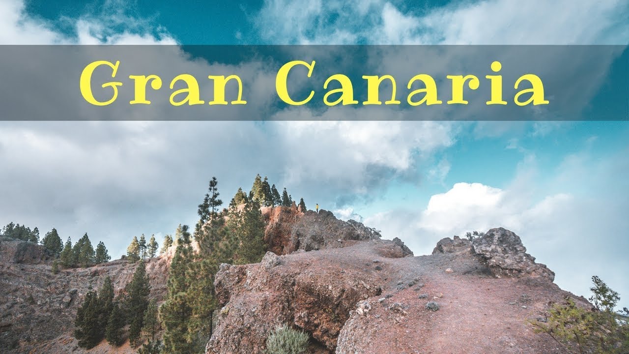 Volcanic crater. Burned forest | Exploring Gran Canaria #2
