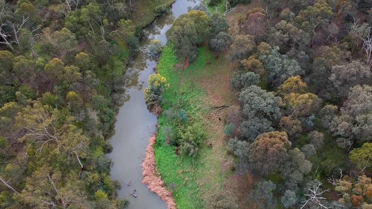 First drone flight l DJI Spark