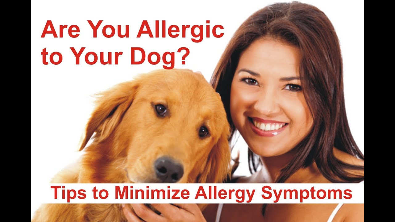 Are You Allergic to Your Dog? Tips to Minimize Allergy Symptoms