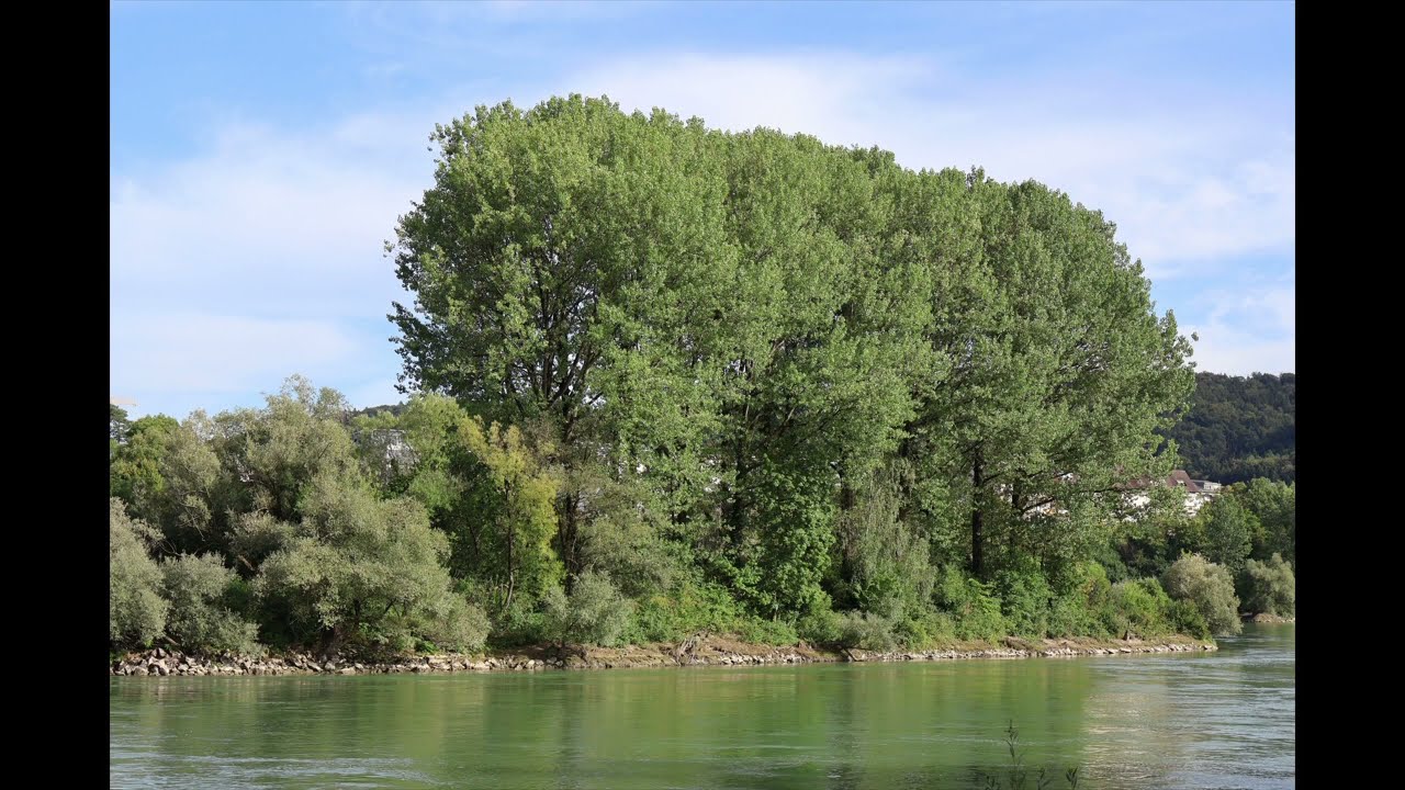 Schönes Bad Säckingen mit Bergsee