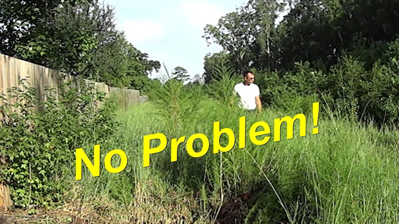 Tall Grass Mowing - FREE LT1000 Riding Lawn Mower Cutting Overgrown Grass