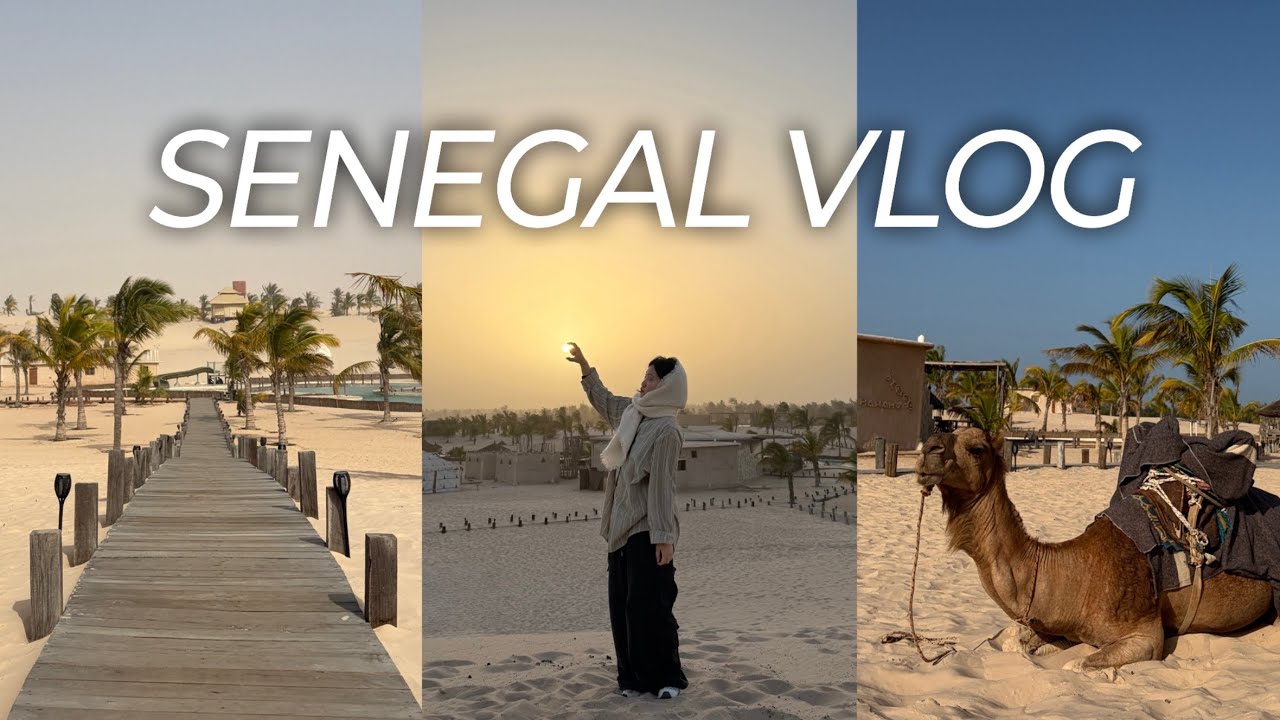 🇸🇳세네갈 사막 여행 VLOG | 아프리카 해외인턴 첫 여행, 별이 쏟아지는 롱뿔의 밤